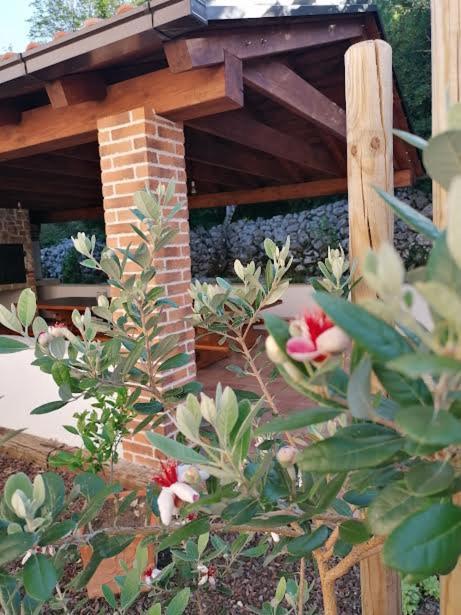 Amazing 4 Bedroom Villa With Swimming Pool And Wifi, Family Frendly Tribalj  Exterior foto